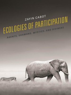 cover image of Ecologies of Participation